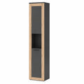 Hochschrank – 40 × 194.3 cm, Anthrazit